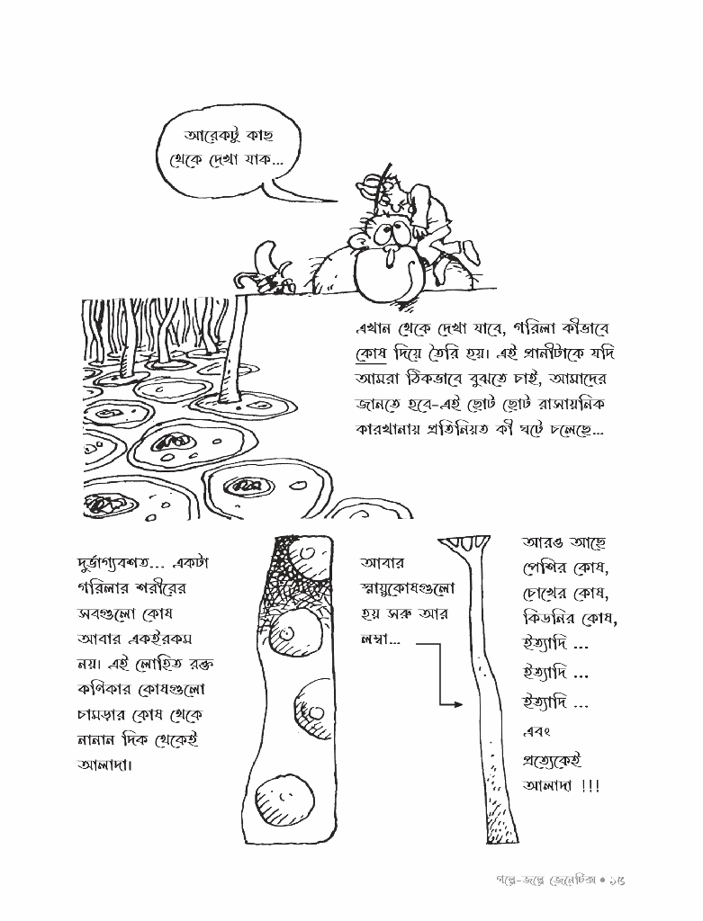 গল্পে জল্পে জেনেটিক্স ২11.jpg