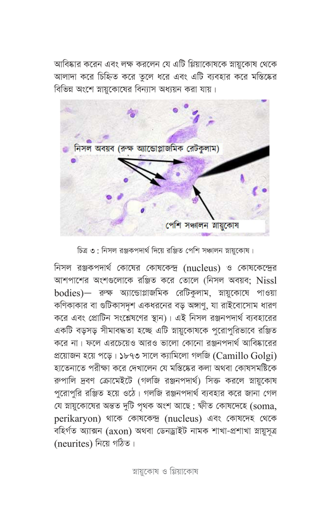 আচরণগত স্নায়ুবিজ্ঞান18.jpg