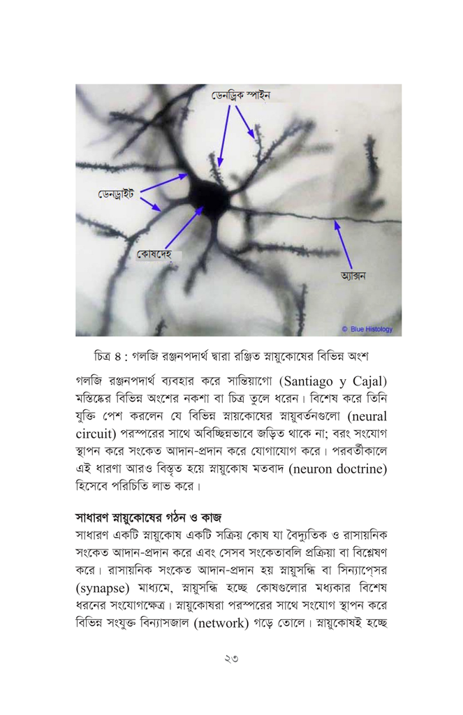 আচরণগত স্নায়ুবিজ্ঞান19.jpg