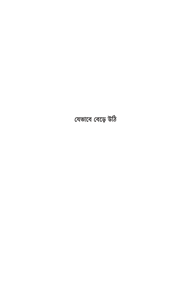 কবির মুখ7.jpg