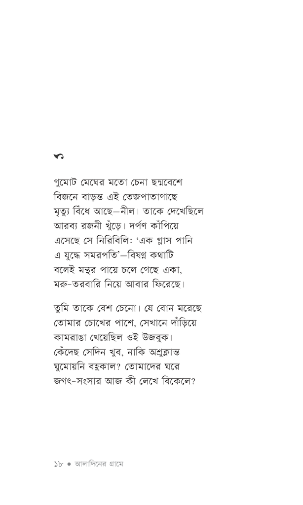 আলাদিনের গ্রামে16.jpg