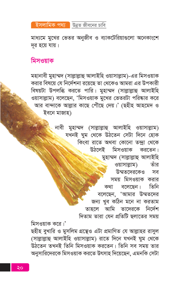 ইসলামিক পথ্য18.jpg